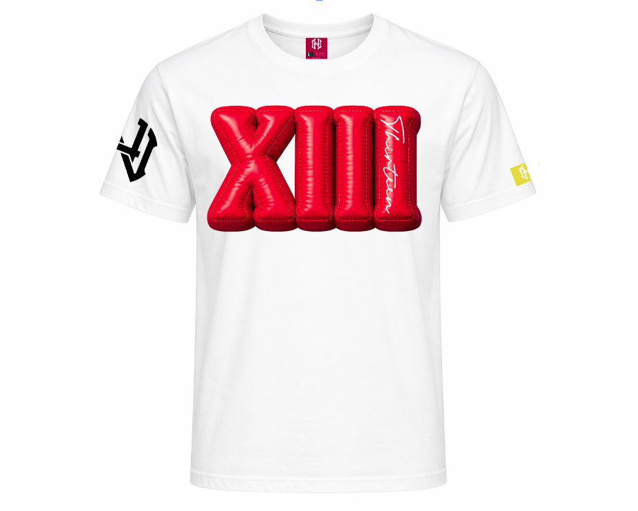 BIG ROMEN XIII