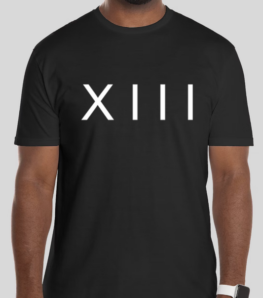 XIII COMING SOON