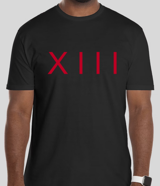 XIII COMING SOON